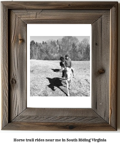 horse trail rides near me in South Riding, Virginia